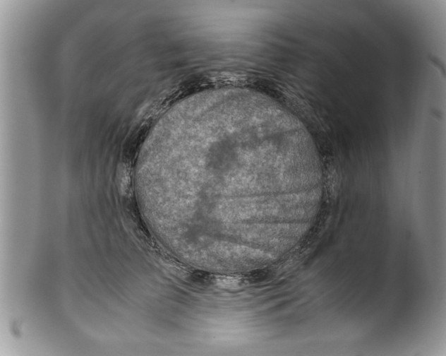 X0000099530709200806131127