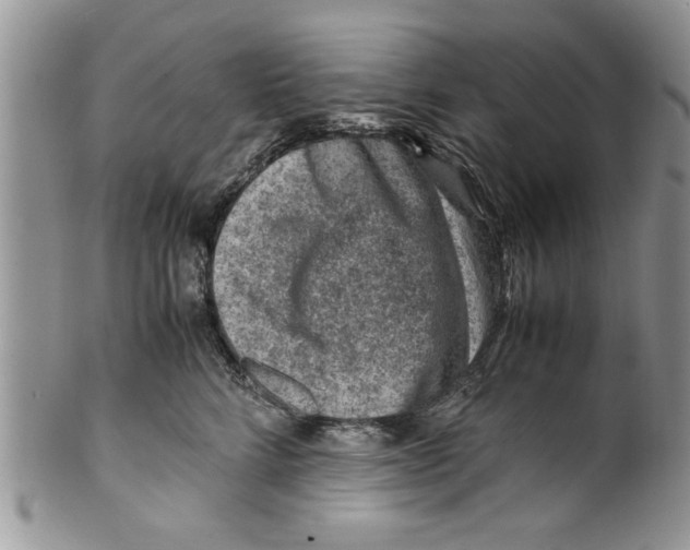 X0000099530712200806131127