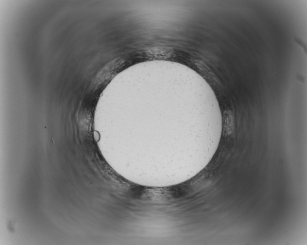 X0000099530713200806131127