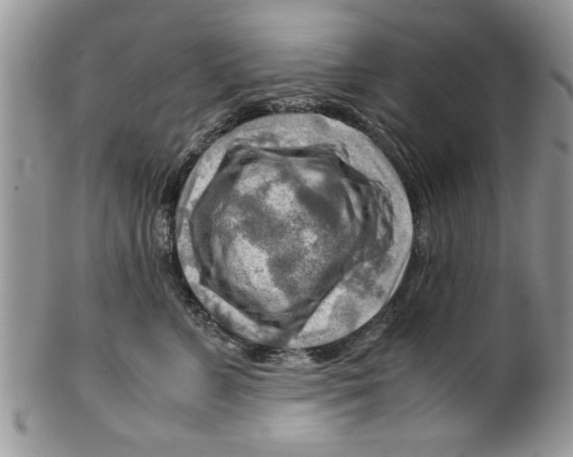 X0000099530715200806131127