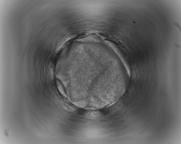 X0000099530716200806131127