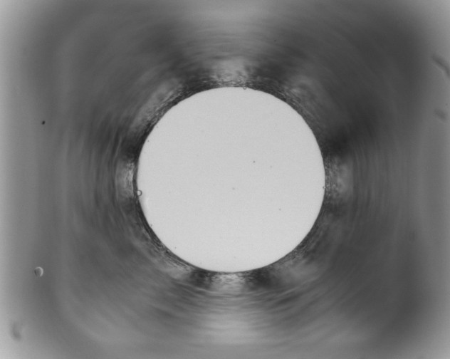 X0000099530717200806131127