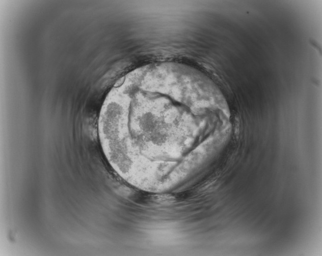 X0000099530719200806131127