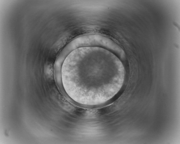 X0000099530720200806131127