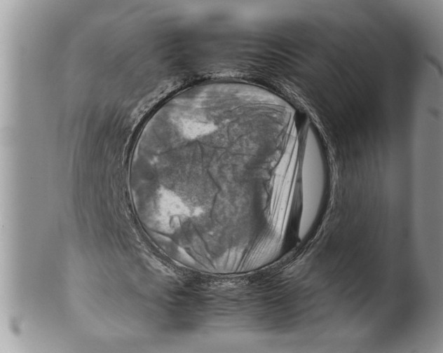 X0000099530721200806131126