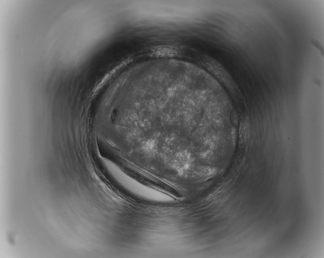 X0000099530722200806131126