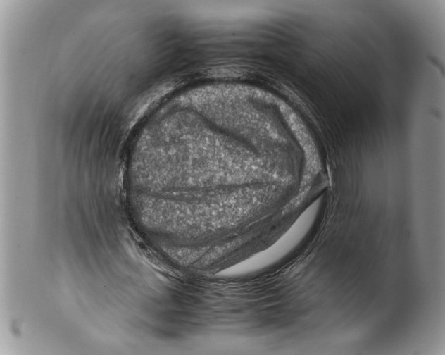 X0000099530723200806131127