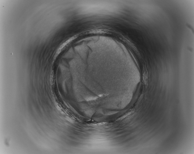 X0000099530724200806131127