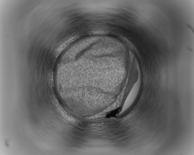 X0000099530725200806131127