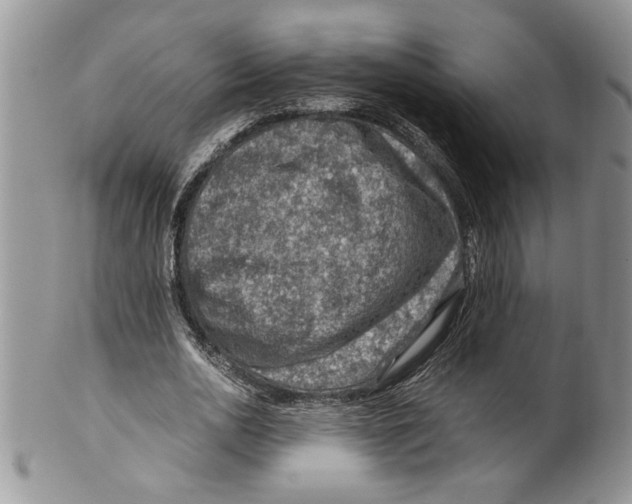 X0000099530726200806131127