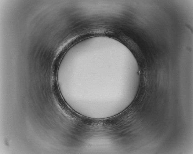 X0000099530728200806131127