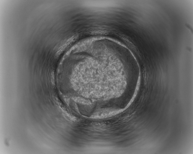 X0000099530729200806131127