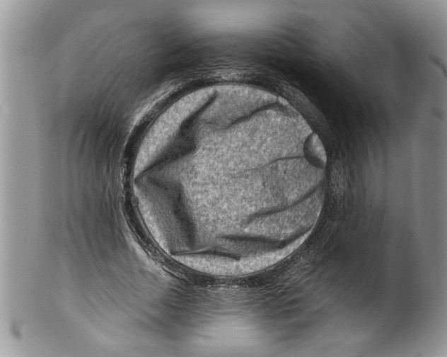 X0000099530730200806131127