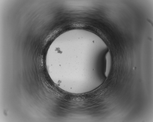 X0000099530731200806131127