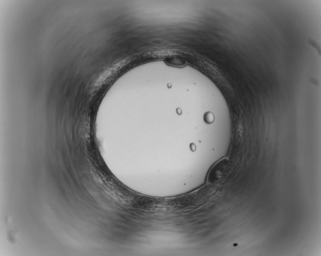 X0000099530732200806131127