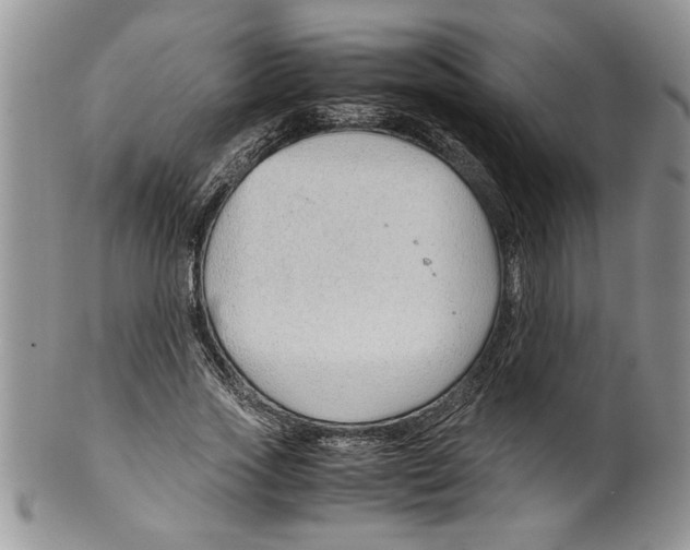 X0000099530733200806131127