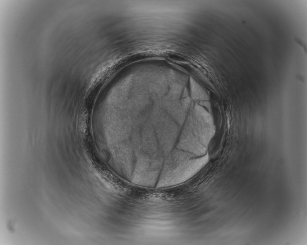 X0000099530736200806131127