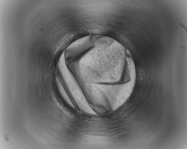 X0000099530738200806131127