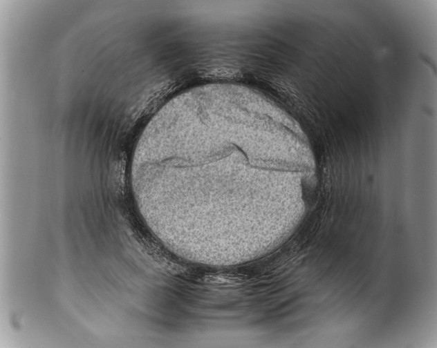 X0000099530739200806131127