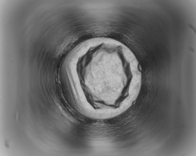 X0000099530742200806131127