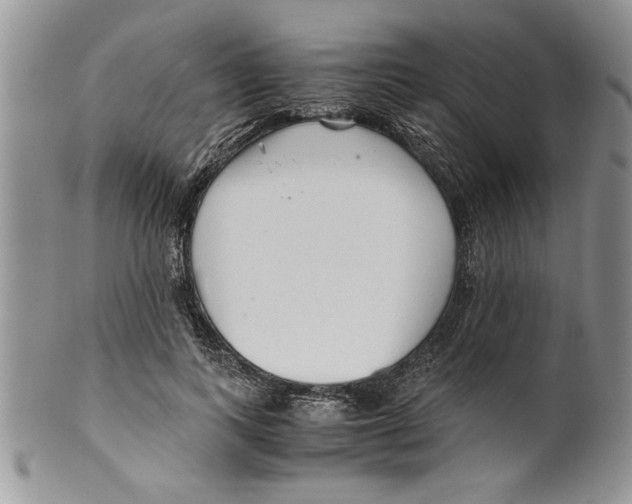 X0000099530743200806131127