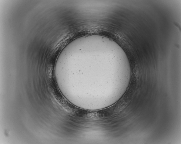 X0000099530744200806131127