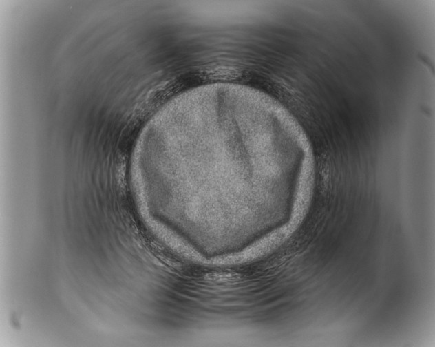 X0000099530745200806131127