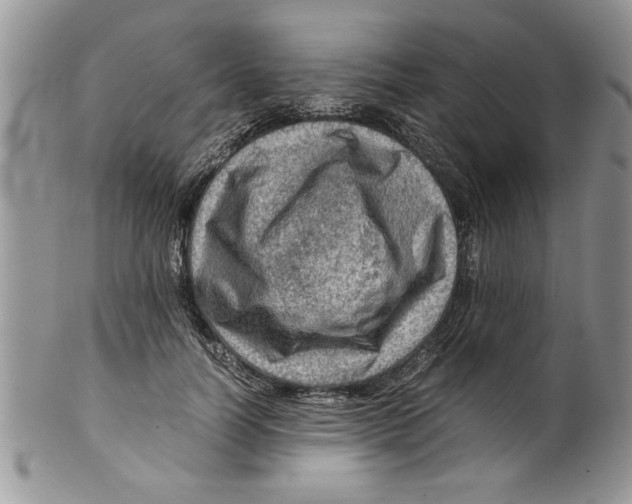 X0000099530746200806131127