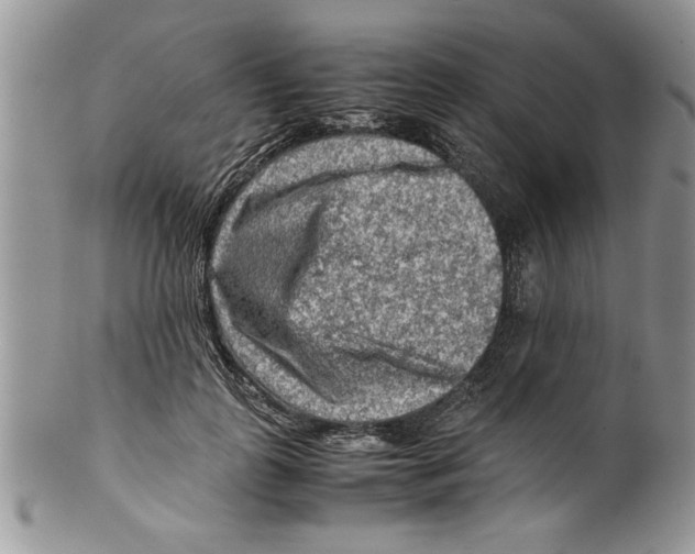 X0000099530747200806131127