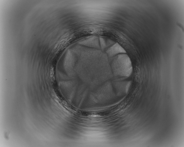 X0000099530748200806131127