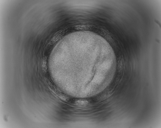 X0000099530749200806131127