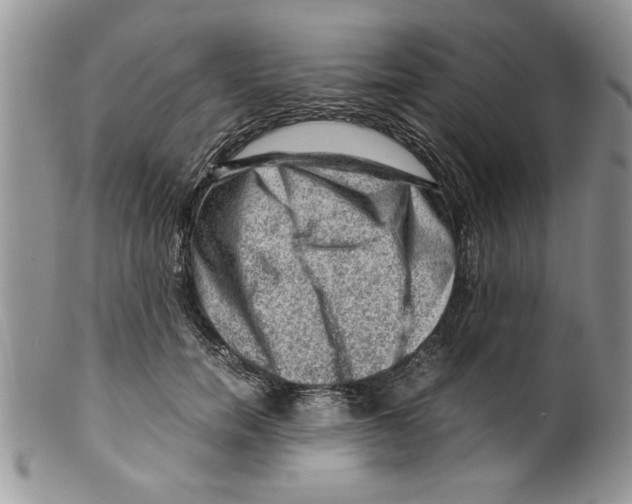 X0000099530750200806131127