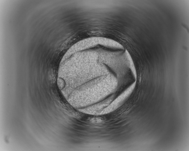 X0000099530751200806131127