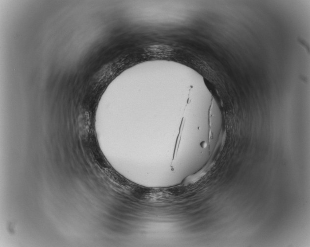 X0000099530752200806131127