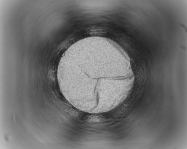 X0000099530755200806131127