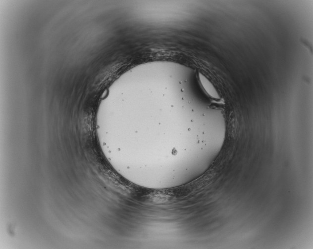 X0000099530756200806131127