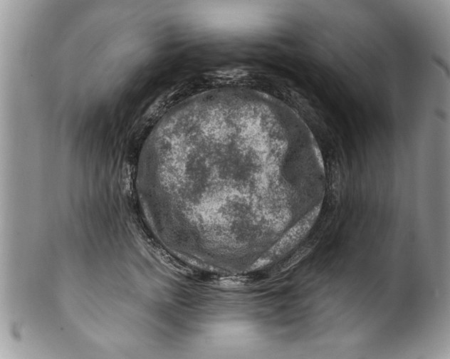 X0000099530758200806131127