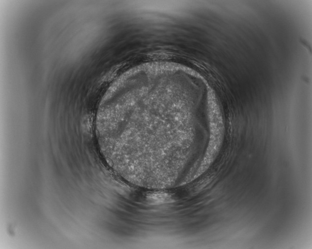 X0000099530759200806131127