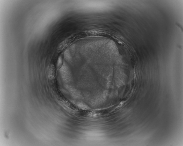 X0000099530760200806131127