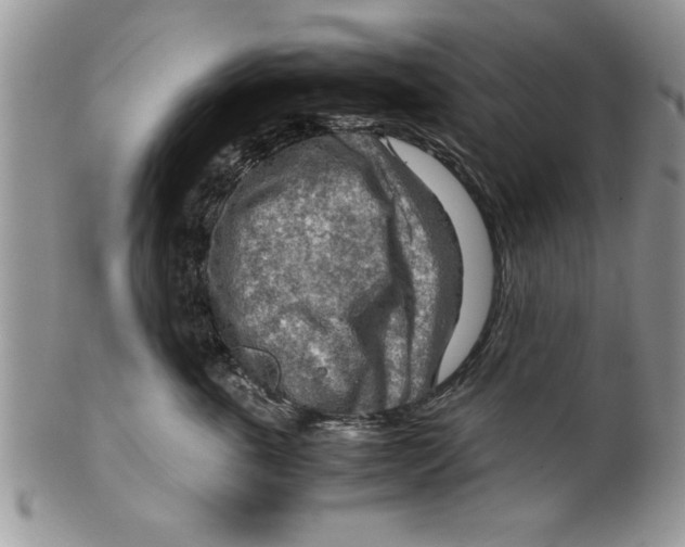 X0000099530763200806131127