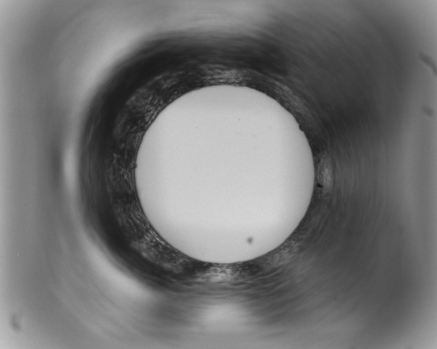 X0000099530764200806131127