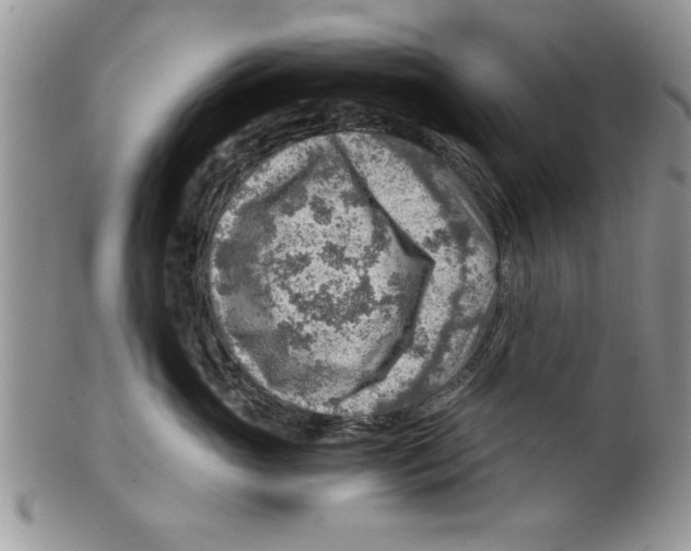 X0000099530765200806131127