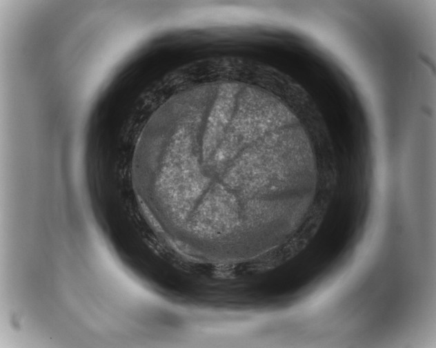 X0000099530766200806131127