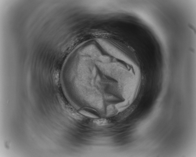 X0000099530767200806131127