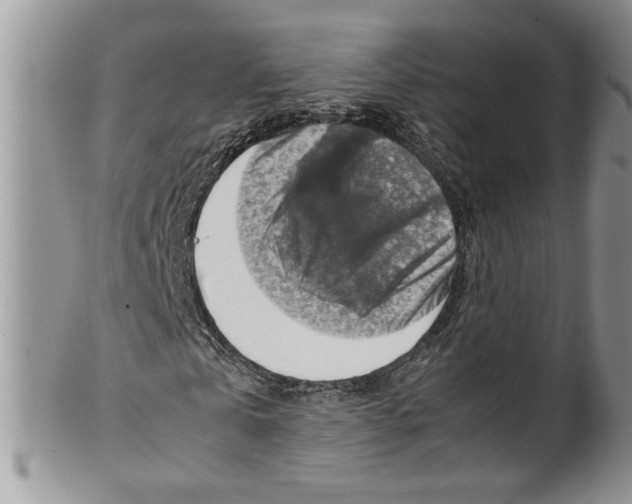 X0000099530769200806131126