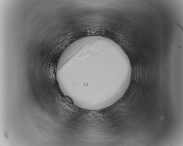 X0000099530770200806131126