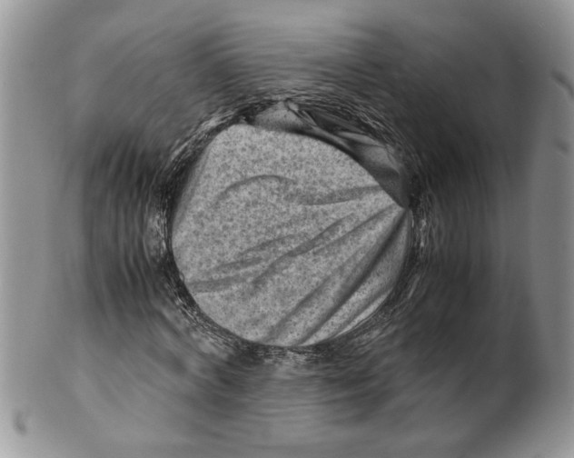 X0000099530772200806131126