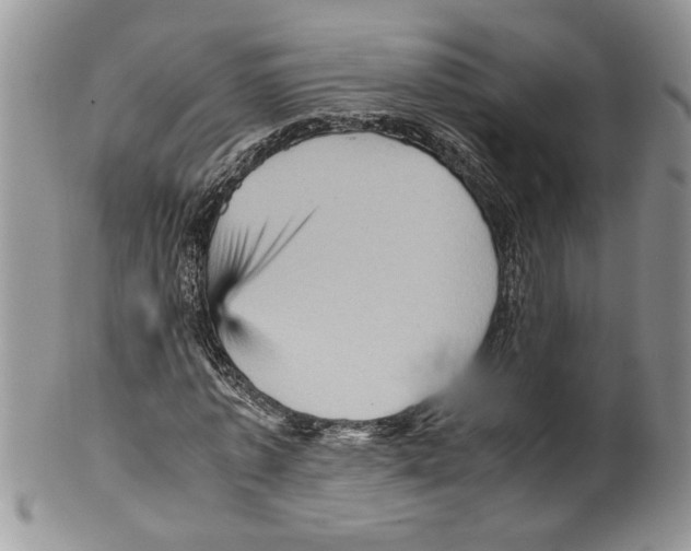 X0000099530773200806131126