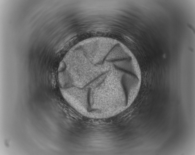 X0000099530774200806131126