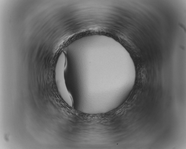 X0000099530776200806131126